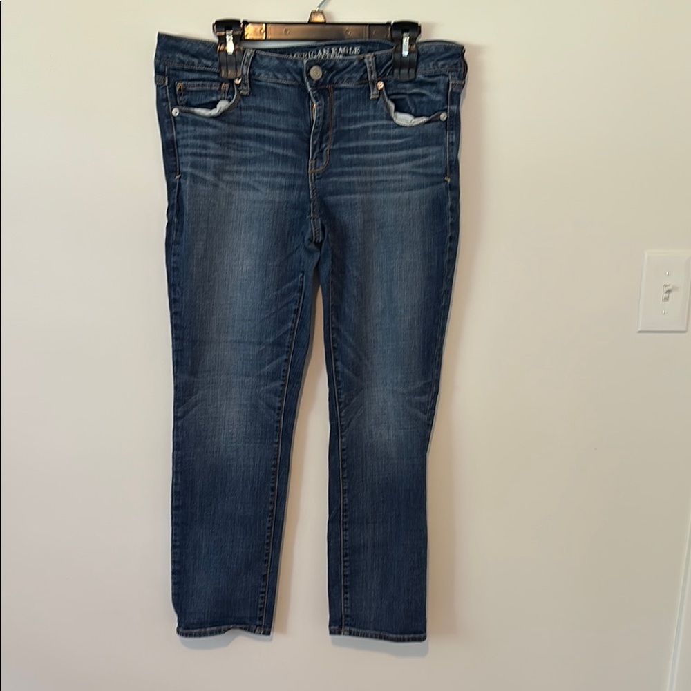 American Eagle Outfitters Blue Skinny Jeans